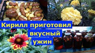 VLOG 09.09.-12.09.24г. Собрала яблоки.  Кирилл приготовил вкусный ужин. #будни #жизньвдеревне