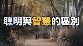 2024 聰明與智慧的區別 The difference between intelligence and wisdom【愛學習 】