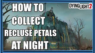 How To Collect Recluse Petals At Night In Dying Light 2