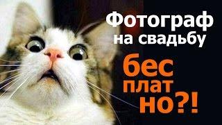 Фотограф на свадьбу бесплатно?! Сколько стоит свадебный фотограф? Часть 1