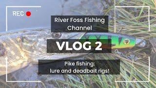 River Foss Fishing Vlog 2: Pike on lures and deadbaits #pike #pikefishing