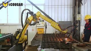 COUGAR EQUIPMENT Linyi Monashi Machinery Equipment Co.,Ltd