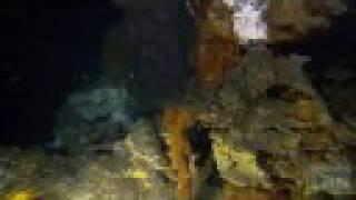 Hydrothermal Vents