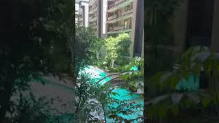 Amazing Courtyard Residential with Pool San Mateo California #shorts #asmr #amazing #lifestyle