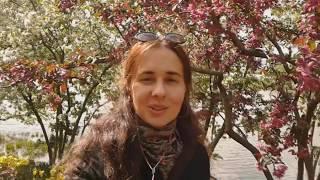 Про Чикаго. Ботанічний сад