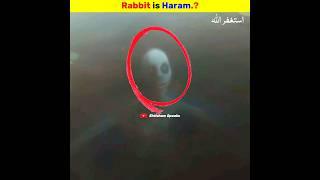 Rabbit is Haram.? | Ehtisham Speaks