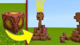 Cordyceps INFECTION  ADDON in Minecraft