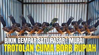 BIKIN HEBOH SATU PASAR ! NEMU MURAI TROTOLAN CUMA 80RB RUPIAH ?