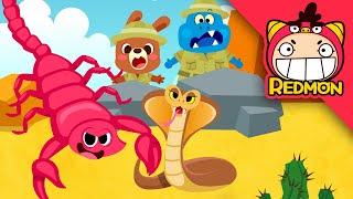 Venomous animal song | Animal songs | Nursery Rhymes | REDMON