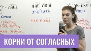 Корни от согласных