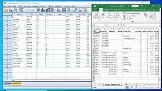 SPSS Basics / How to import excel data