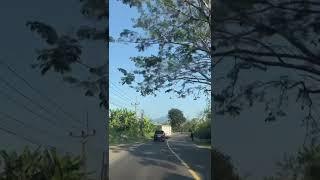 POV nyetir mobil melewati jalan yang asri