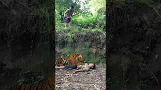 he will not run anymore determined to catch the tiger #113