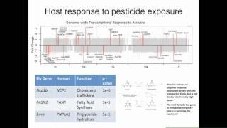 J Brown: A multi-omics strategy for fly models of human disease in exposure biology.