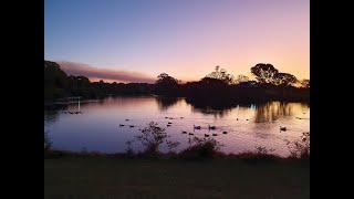 Enjoy Nature - Lake Victoria, Maryborough, Queensland, Australia