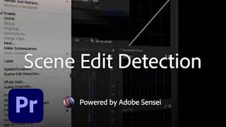 Coming Soon to Premiere Pro - Scene Edit Detection | Adobe Creative Cloud