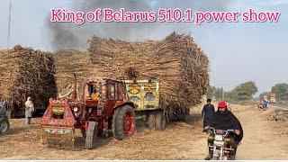 King of Belarus 510.1 power show Top Stunt Video Of Heavy Trailer Pulling 