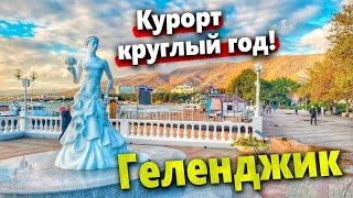 ЖАРА В ГЕЛЕНДЖИКЕ! ЗАЧЕМ МЫ ПРИЕХАЛИ В ГОЛУБУЮ БУХТУ? ОСЕНЬ В ГОРАХ. НОЧНАЯ ЖИЗНЬ НОВОРОССИЙСКА