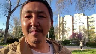 都疯了！股市，汇市，币市全疯了！美国，欧洲，都疯了！关税战开打，全都疯了！