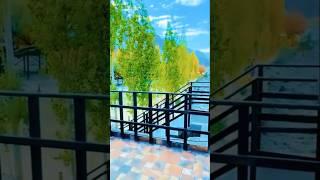 Pakistan Gilgit Baltistan Natural beauty ️️