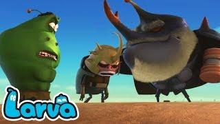 Larva Cartoon | Larva Full Episode 32 ~ 52 | Larva New Season 5 | Larva Movie