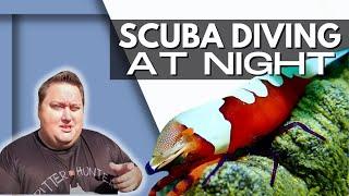 INSANE FINDS While Diving at Night in Dumaguete | Critter Hunter