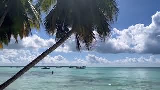 Saona island excursion