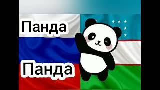 рус тилида ёвойи хайвонлар! rus tili tez va oson!