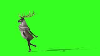 DANCING GREEN SCREEN FOR CHROMAKEY  Грин скрин (green screen effects)  футажи на зелёном фоне