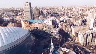 One Day In Tokyo, Japan 2017