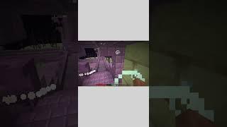 Blaelion vs Minecraft End City