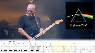 WHY Is This Solo SO GOOD? David Gilmour Comfortably Numb LIVE Tab