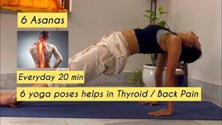 6 asanas will relieve you from Thyroid and Back Pain  #yoga #yogapractice #health #healthy #love