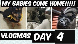 MY BABIES COME HOME | VLOGMAS DAY 4