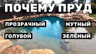 КАКАЯ ВОДА У РАЗНЫХ ТИПОВ ПРУДОВ? Причины загрязнения и способы очистки водоёмов