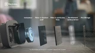 Electrolux Filter BREEZE EFWBRZ3 FR