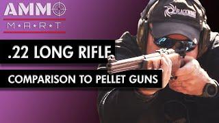 Pellet Guns vs .22 Long Rifle - Speed, Loudness, and Penetration