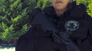 Kosovo Police