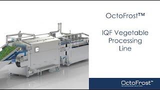 OctoFrost™ IQF Vegetable Processing Line 3D | Washer | Blancher | Chiller | IQF Freezer