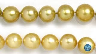 Introduction to buying Pearls with David Norman on Gem Shopping TV