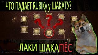 ЧТО ПАДАЕТ RUBIKу У ШАКАТУ? / УДВОЕННЫЙ ШАНС / Black Desert Mobile