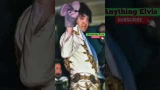 Elvis Funny Moments ️ #elvispresley #music #elvis #viral #oldies