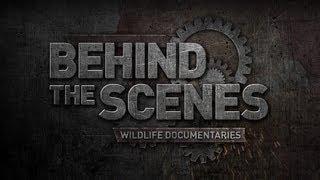 Wildlife Documentaries: Behind the Scenes - Series Trailer