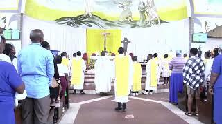 DIWOPA CATHOLIC Church Mass live: YOUNIB MEDIA TV