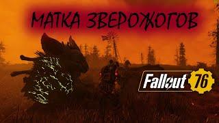 МАТКА ЗВЕРОЖОГОВ 95 УРОВНЯ !!! ЭПИЧНАЯ БИВА Fallout 76