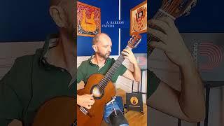 playing A. BARRIOS "CATEDRAL 3 MOV." #guitar #guitarist #guitarplayer #guitarra #spanish #guitarsolo