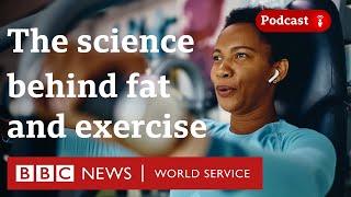 Where does our fat go when we exercise? - CrowdScience podcast, BBC World Service