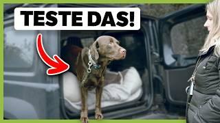 Diese 5 Tests zeigen dir, wie stark die Beziehung zu deinem Hund wirklich ist | Beziehungsdiagnose