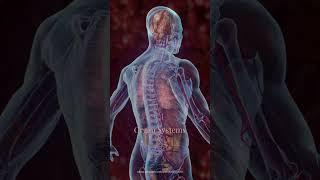 Traditional Chinese Medicine Principles in Fertility Acupuncture