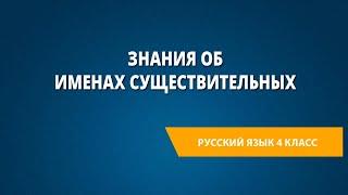 Знания об именах существительных